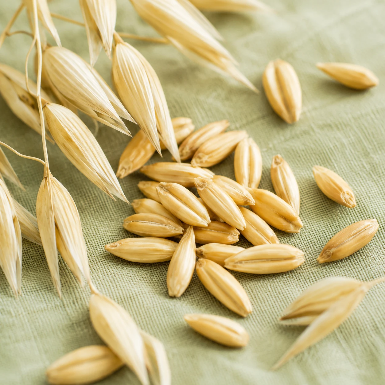 Oats-Inspired Active